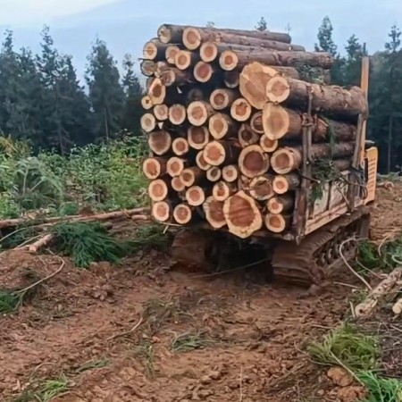 Crawler Dumper Logs Tsheb thauj mus los hauv hav zoov tsheb